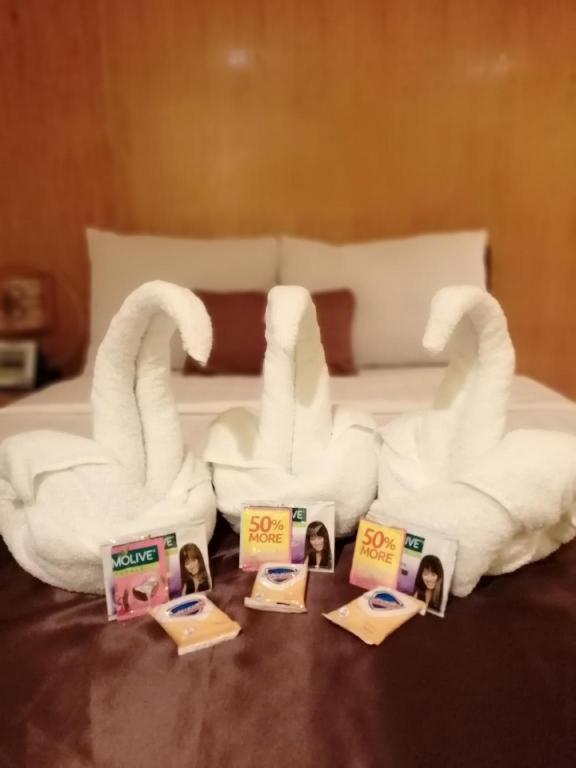 Hotel Asuncion Laoag Ngoại thất bức ảnh